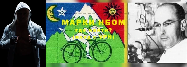 прущая мука Арсеньев