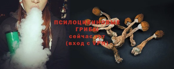 прущая мука Арсеньев