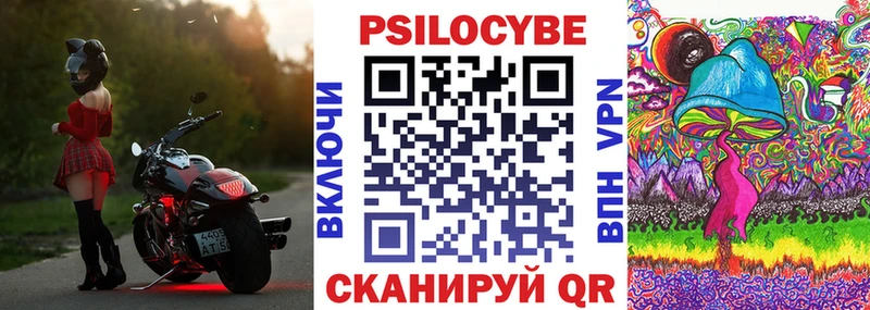 blacksprut ТОР  Судак  Псилоцибиновые грибы прущие грибы 
